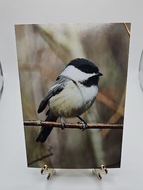 5x7 Chickadee Bird Oil Painting Photography Print‎